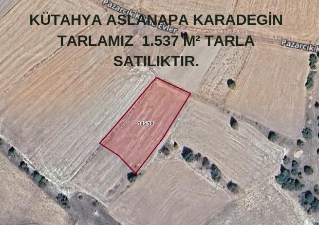 KÜTAHYA ASLANAPA KARADEGİN TARLAMIZ  1.537 M² TARLA    SATILIKTIR. - KÜTAHYA ASLANAPA fotoğraf 7